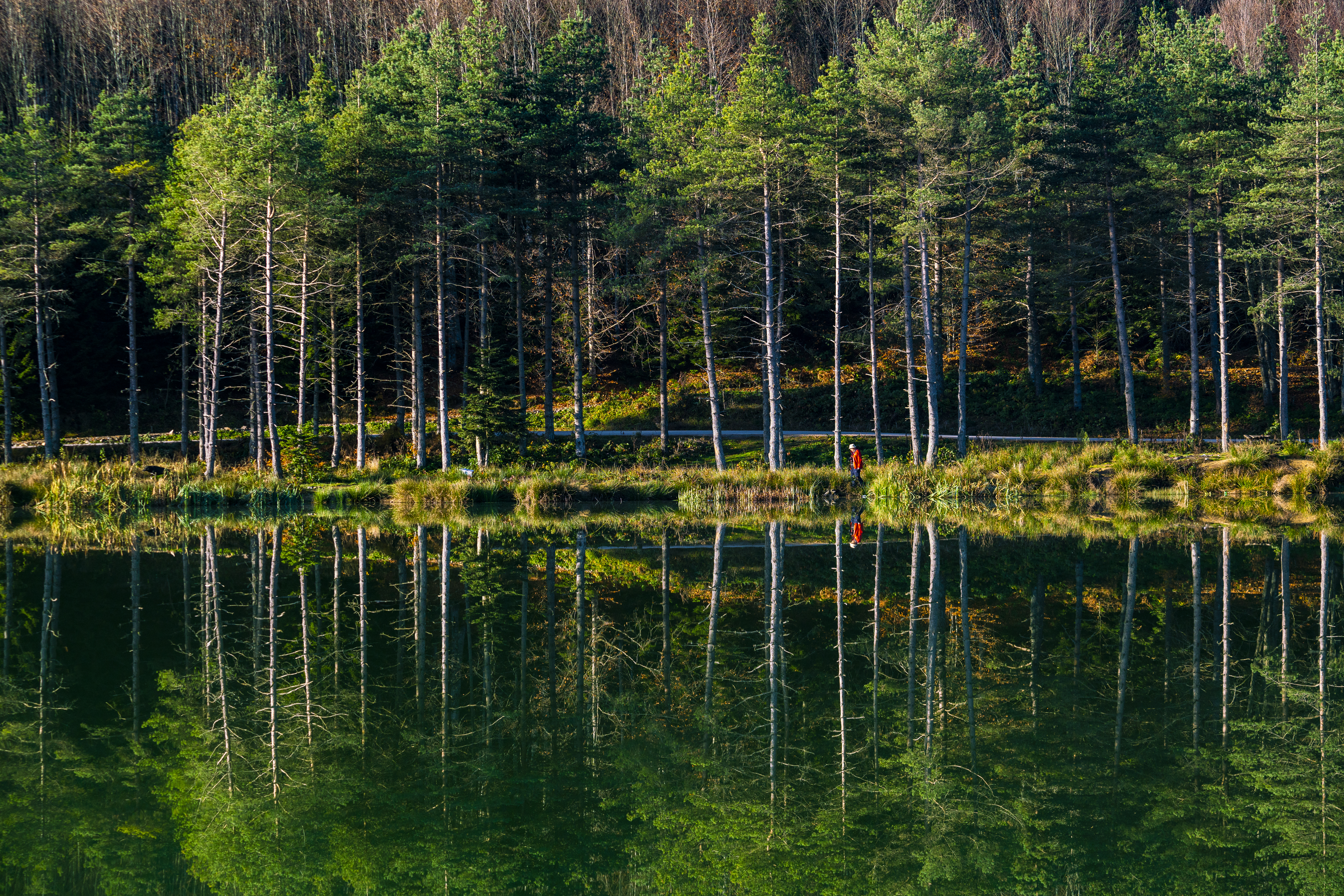 Gölcük Tabiat Parkı: Şehirden Kaçış İçin Günlük Rota